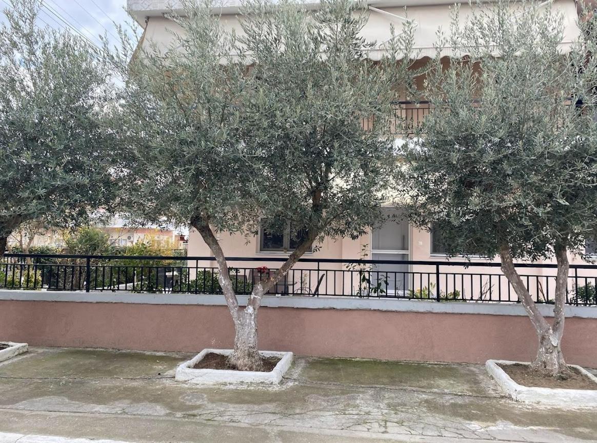 Olive * Drama